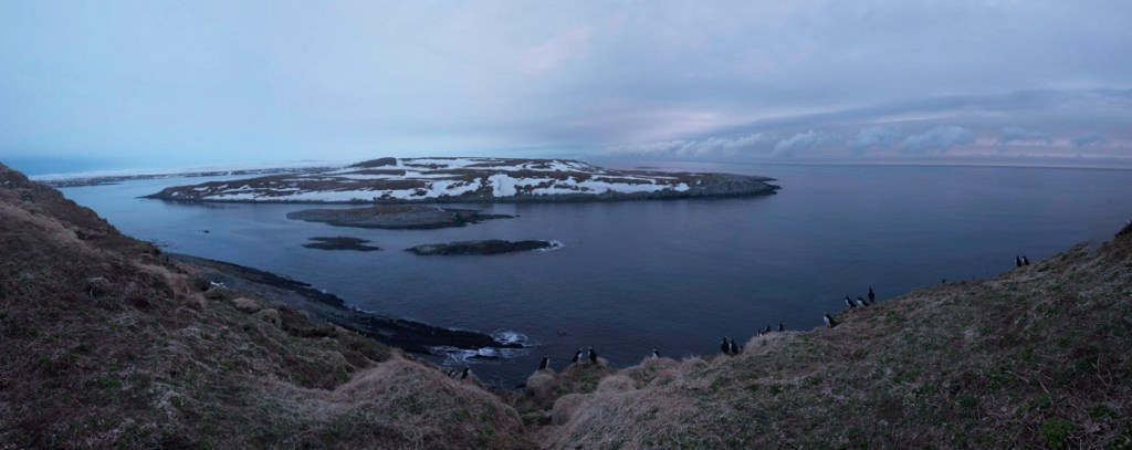 L'île de Reinøya vue depuis Hornøya