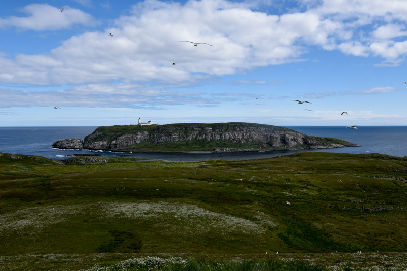 Hornøya vue depuis Reinøya