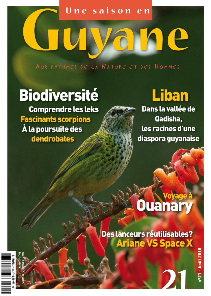 Une saison en Guyane n°21, août 2018